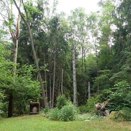Ferienwohnung Niemann In Lutterloh Unterluss Екстер'єр фото
