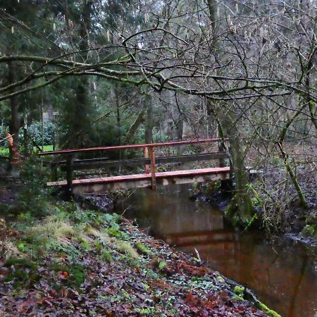 Ferienwohnung Niemann In Lutterloh Unterluss Екстер'єр фото