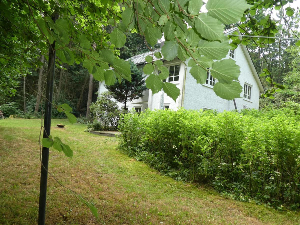 Ferienwohnung Niemann In Lutterloh Unterluss Екстер'єр фото